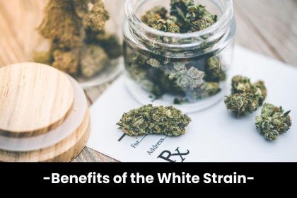 Benefits of the White Strain